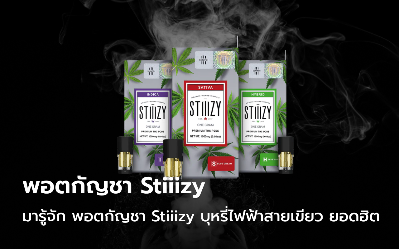 พอตกัญชา Stiiizy