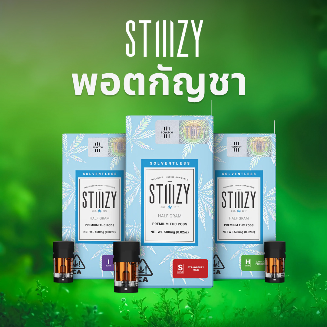 Stiiizy พอตกัญชา