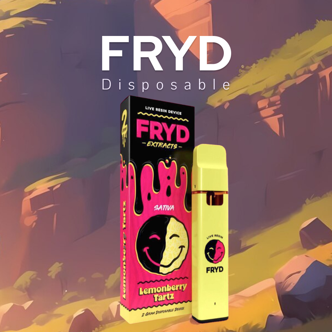 พอต FRYD Disposable
